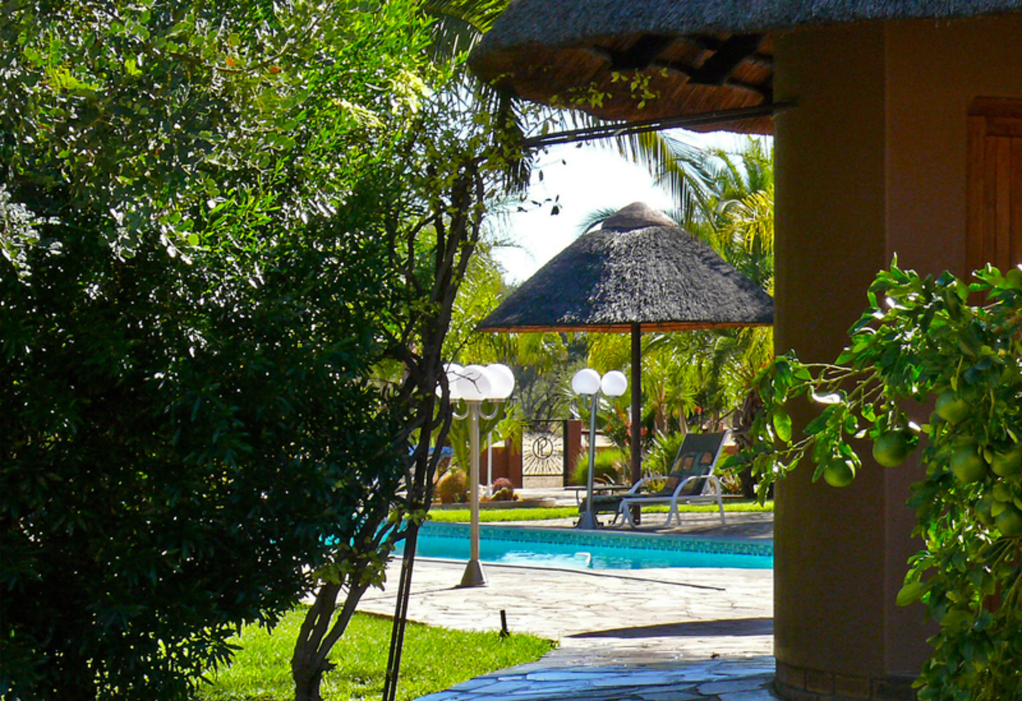 C Africa Safaris